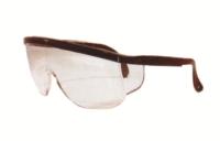 GENERAL PURPOSE GOGGLES