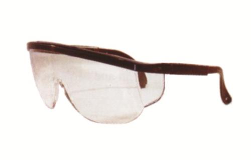 GENERAL PURPOSE GOGGLES