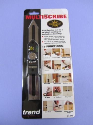 PROFESSIONAL MULTISCRIBE 250